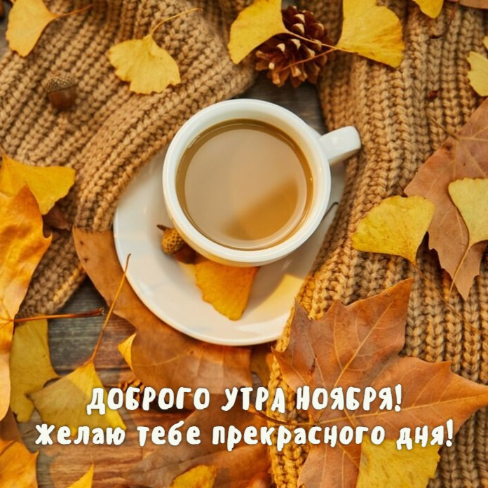 Доброго утра ноября! Желаю тебе прекрасного дня!