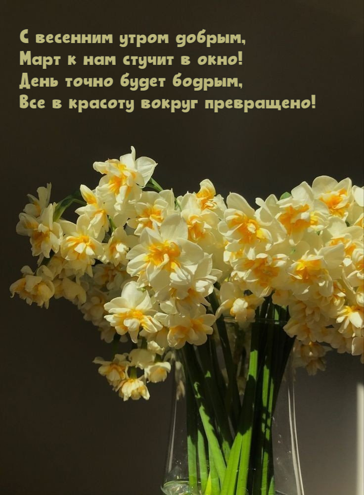 С весенним утром добрым, Март к нам стучит в окно!