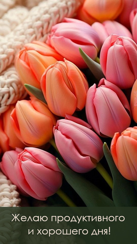 Желаю продуктивного  и хорошего дня!