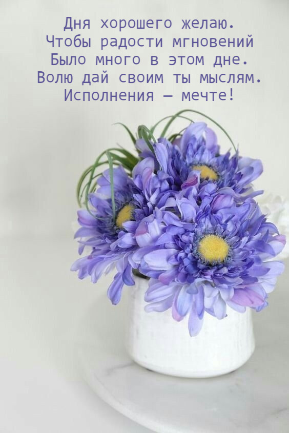 Волю дай своим ты мыслям. Исполнения — мечте!