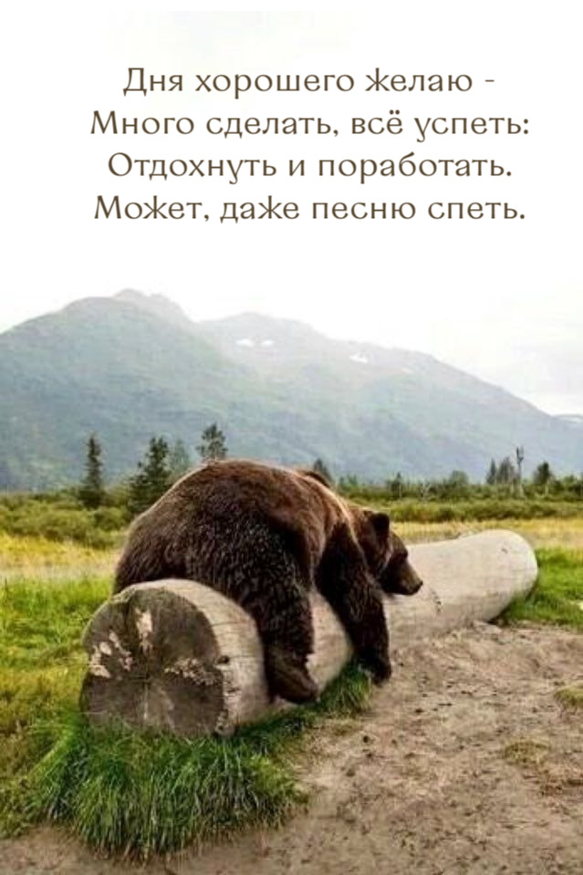 Дня хорошего желаю - Много сделать, всё успеть