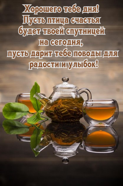 Пусть птица счастья будет твоей спутницей на сегодня
