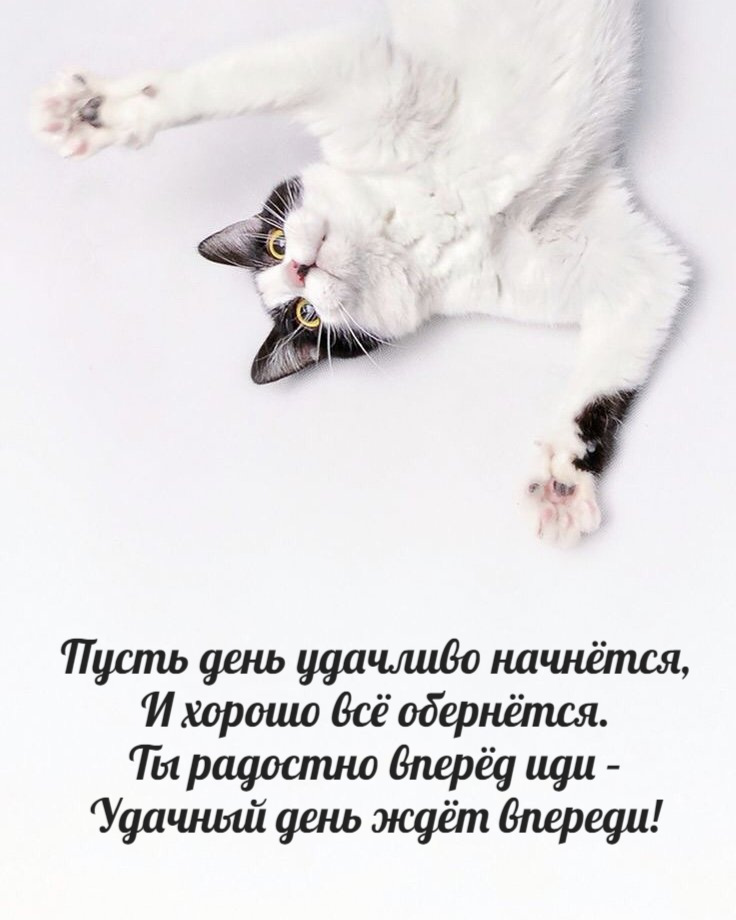 Пусть день удачливо начнётся, И хорошо всё обернётся. Ты радостно вперёд иди – Удачный день ждёт впереди!
