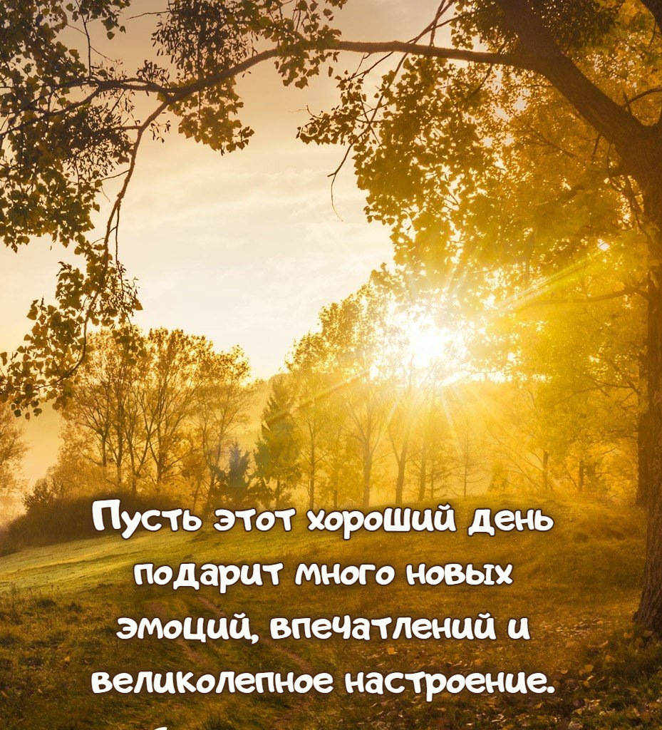 Пусть этот хороший день подарит много новых эмоций