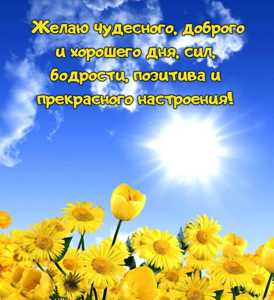 позитива и прекрасного настроения!