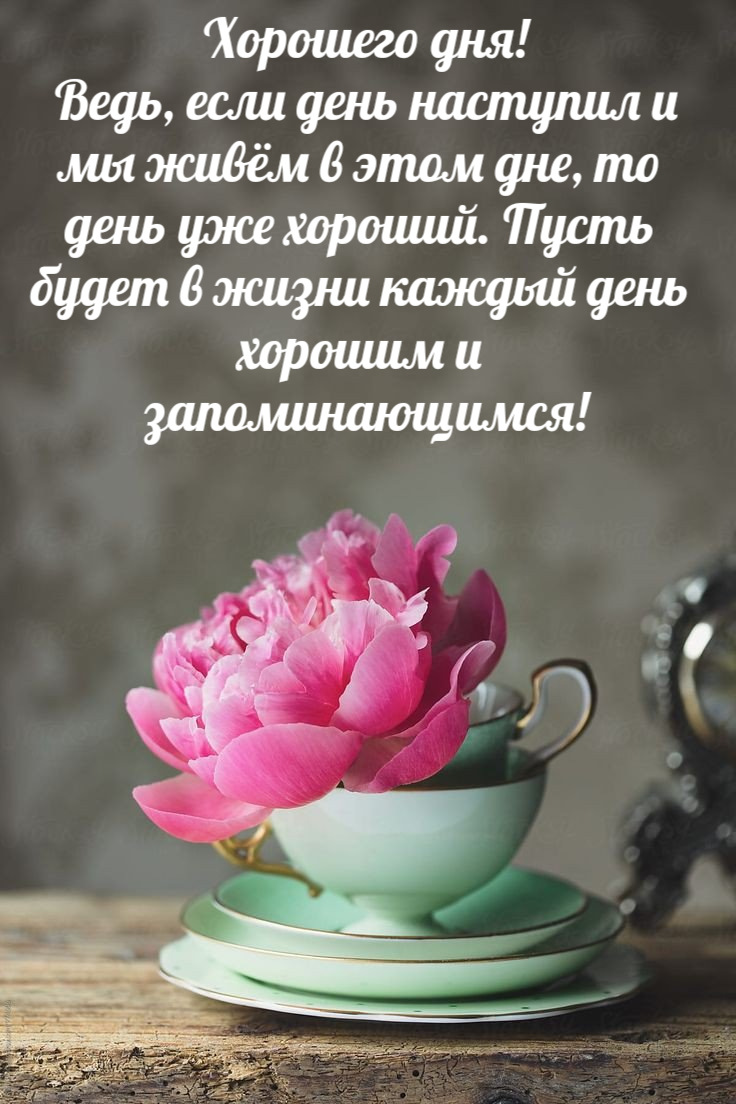 Пусть  будет в жизни каждый день  хорошим и  запоминающимся!