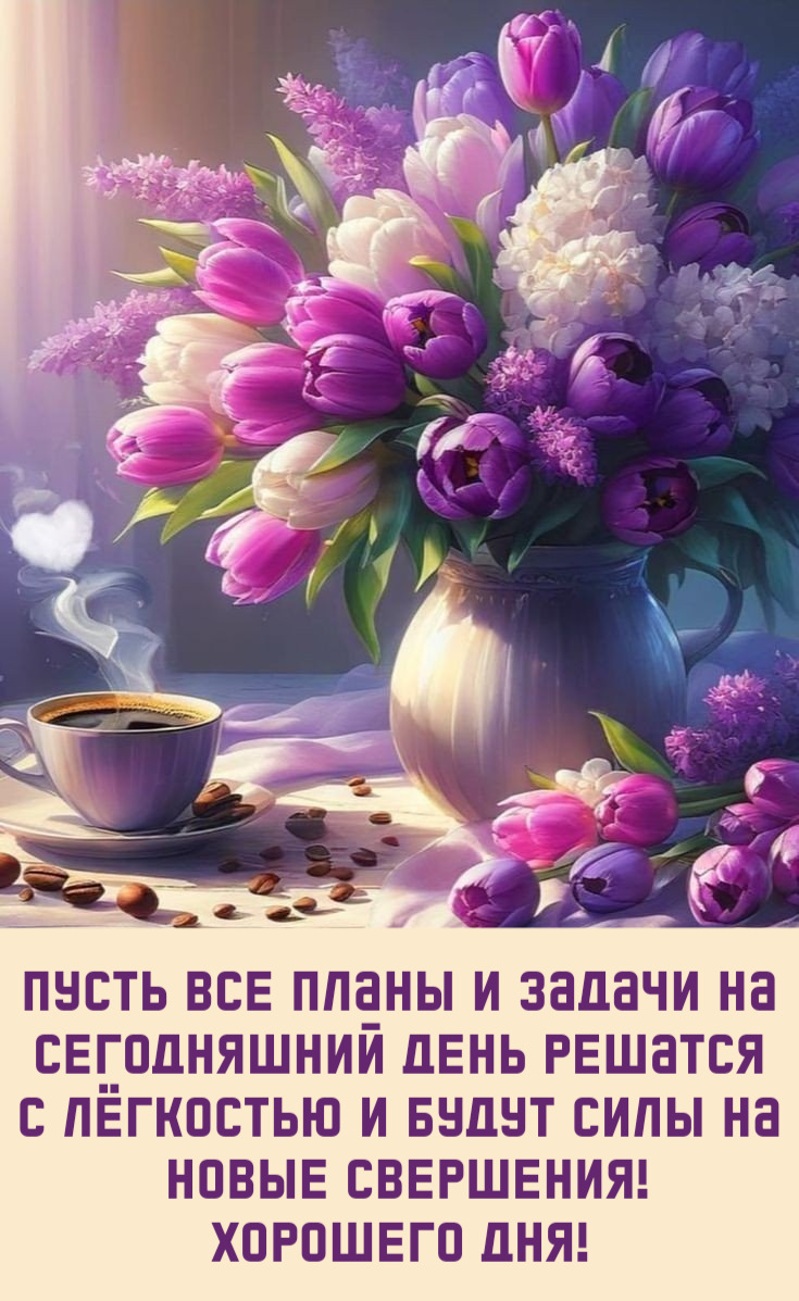 Пусть все планы и задачи на сегодняшний день решатся с лёгкостью