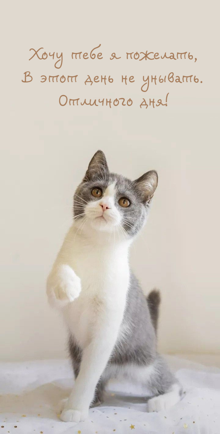 Хочу тебе я пожелать, В этот день не унывать.