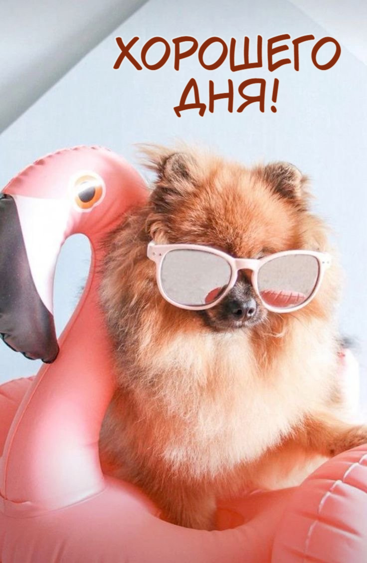 ХОРОШЕГО ДНЯ!