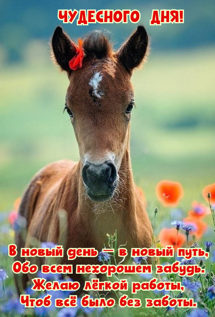 В новый день — в новый путь, Обо всем нехорошем забудь.