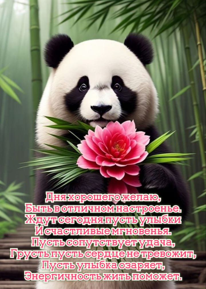 Дня хорошего желаю, Быть в отличном настроенье.