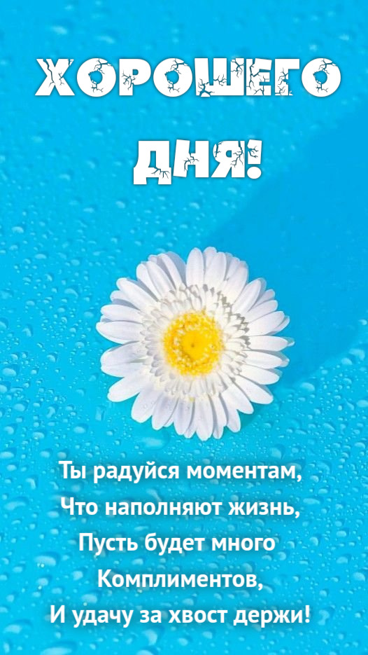 Ты радуйся моментам, Что наполняют жизнь