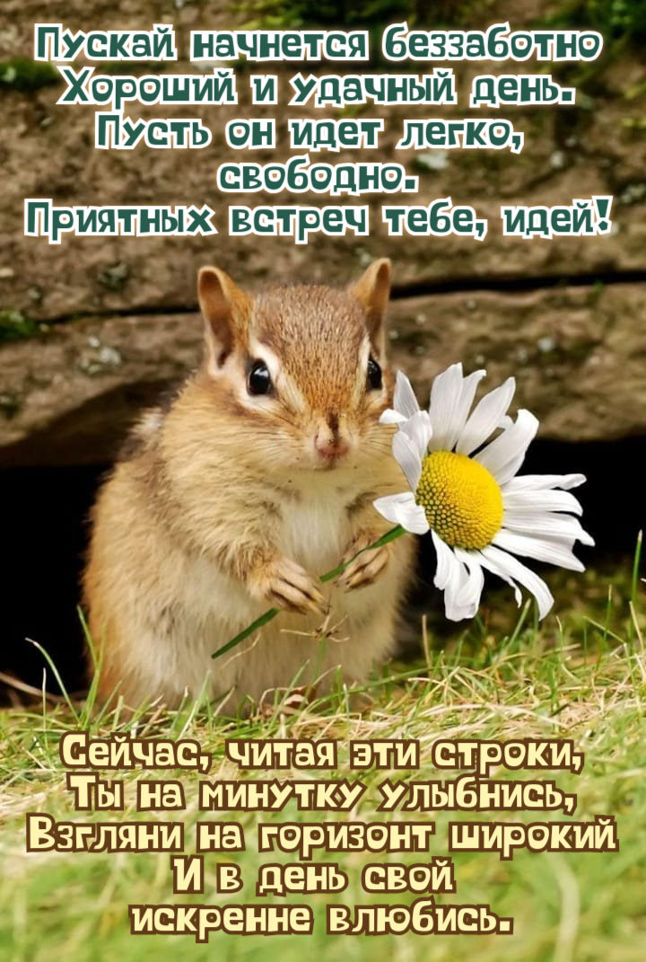 Пускай начнется беззаботно Хороший и удачный день