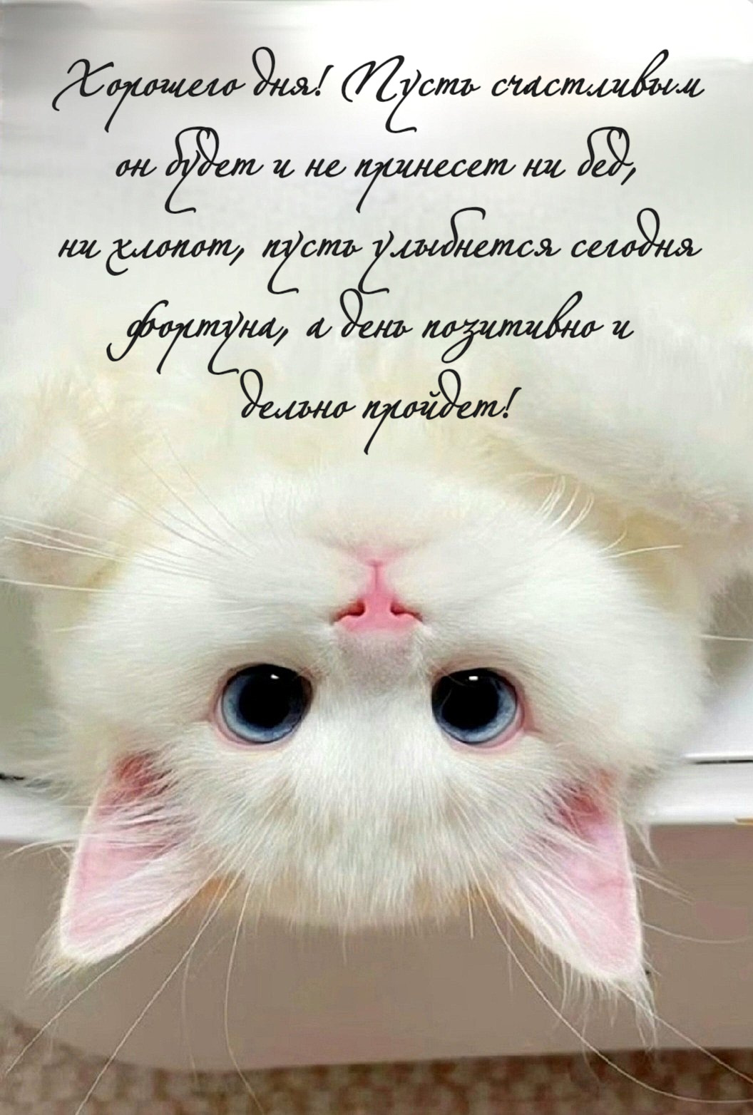 Хорошего дня! Пусть счастливым он будет и не принесет ни бед, ни хлопот, пусть улыбнется сегодня фортуна, а день позитивно и дельно пройдет!