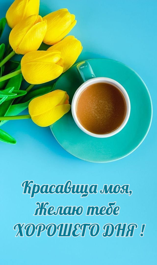 Красавица моя,  Желаю тебе  ХОРОШЕГО ДНЯ !