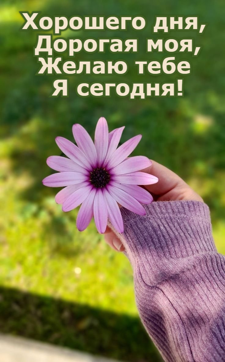 Хорошего дня,  Дорогая моя, Желаю тебе  Я сегодня!