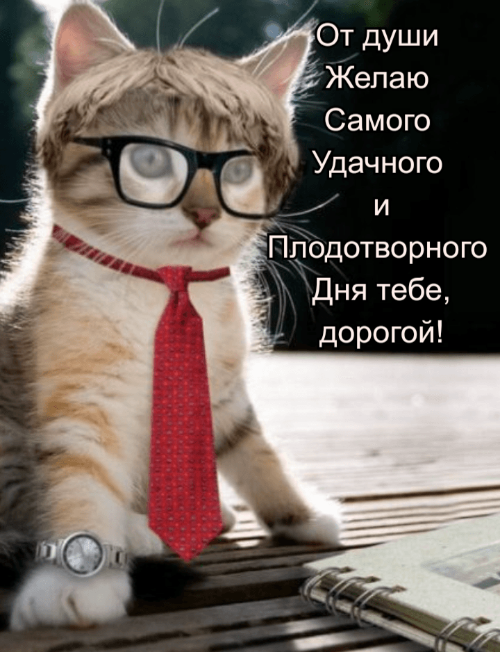 От души Желаю Самого Удачного