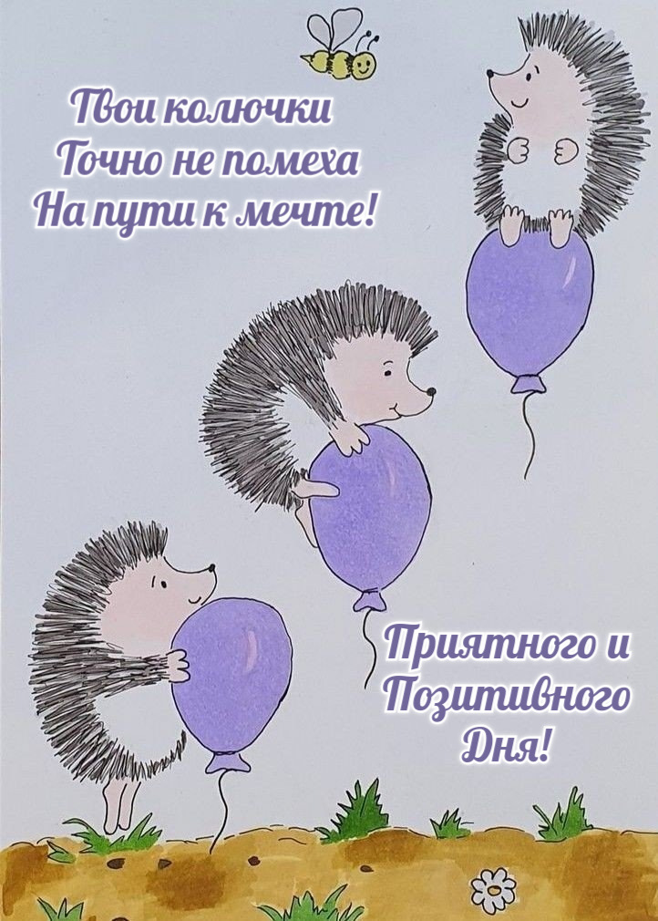 Твои колючки  Точно не помеха