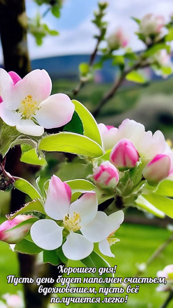 Пусть день будет наполнен счастьем