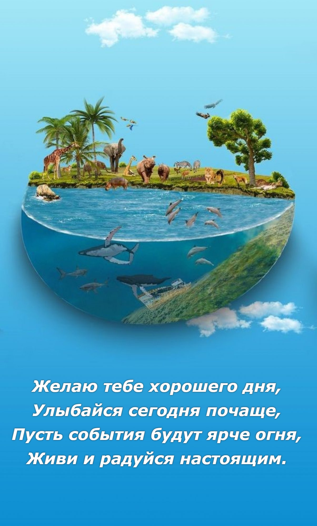 Улыбайся сегодня почаще