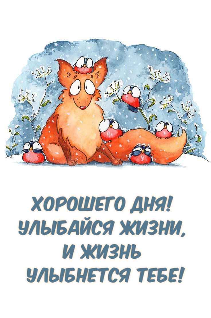 Улыбайся жизни,  и жизнь  улыбнется тебе!