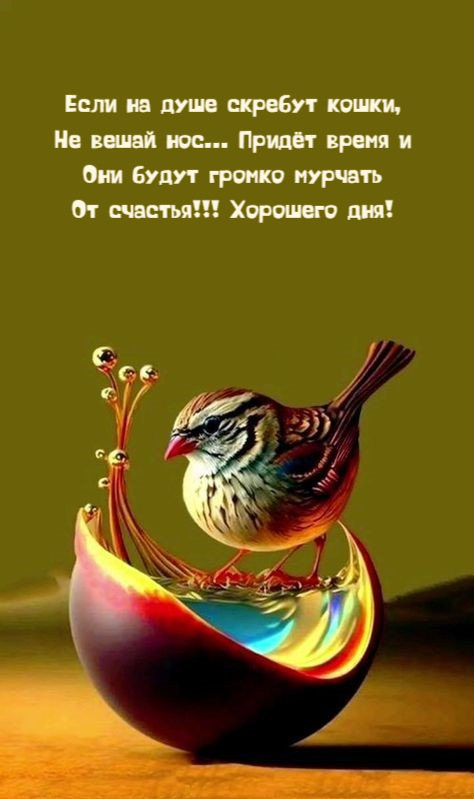 Если на душе скребут кошки, Не вешай нос...