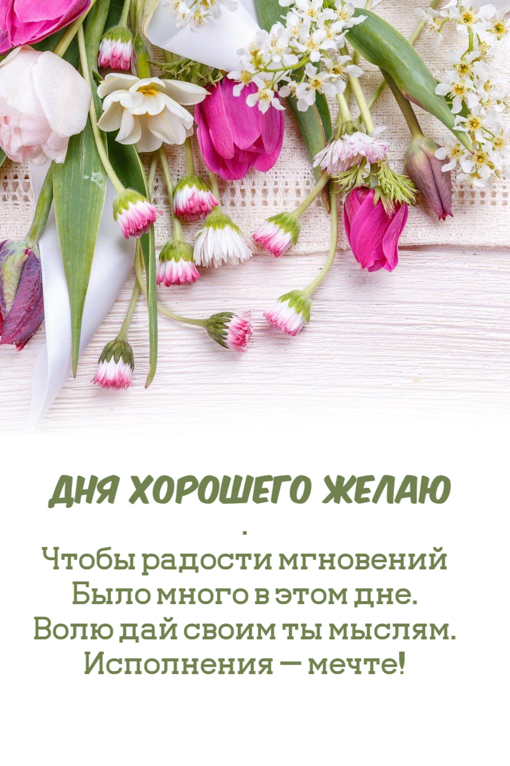 Волю дай своим ты мыслям