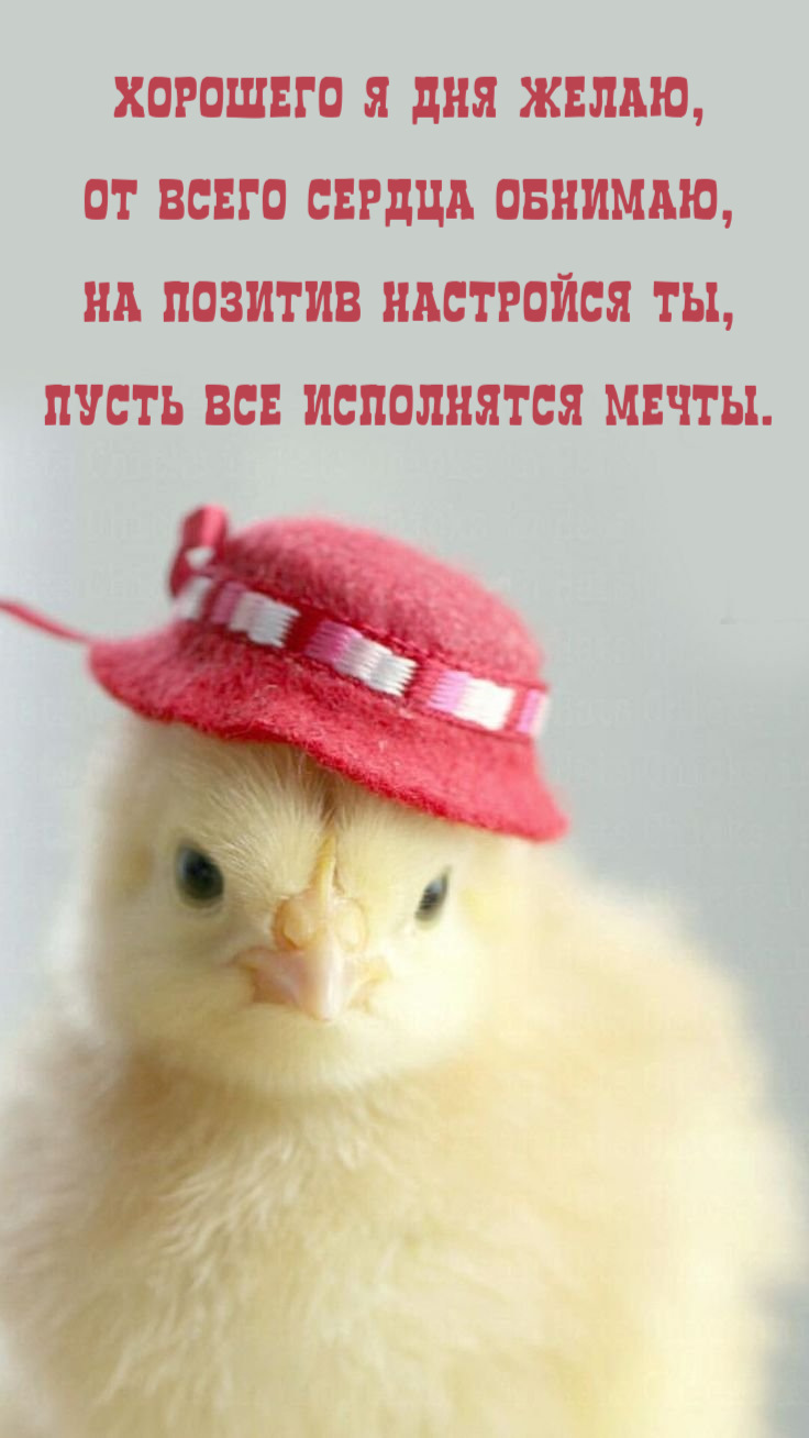 На позитив настройся ты