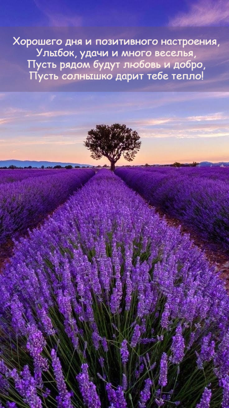 Пусть солнышко дарит тебе тепло!