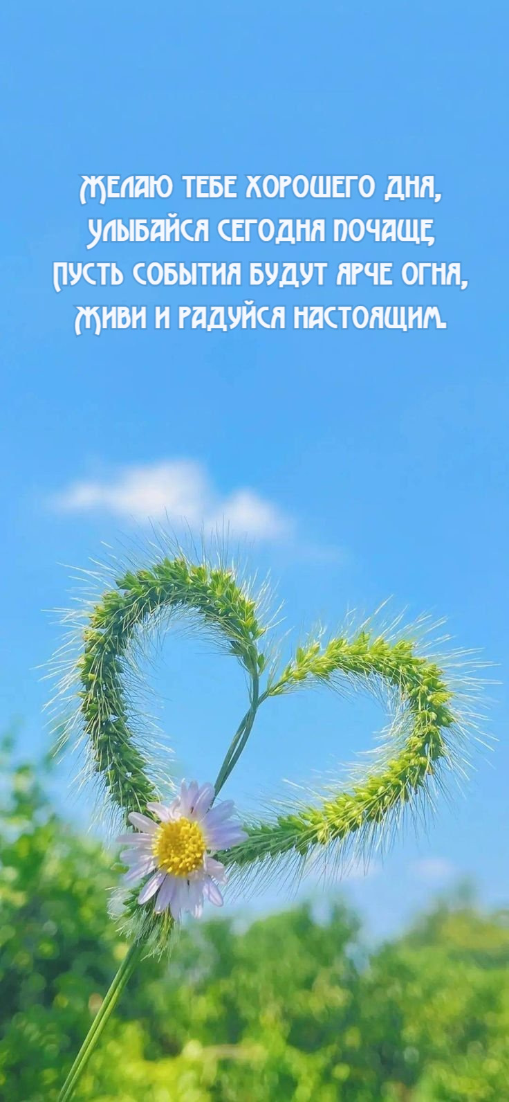 Улыбайся сегодня почаще