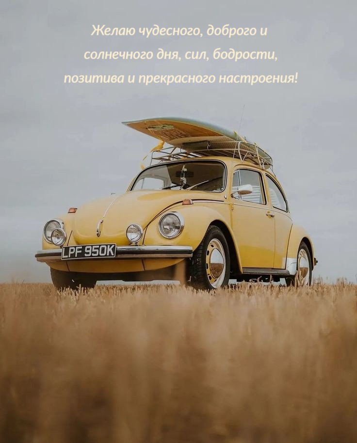 бодрости, позитива и прекрасного настроения!
