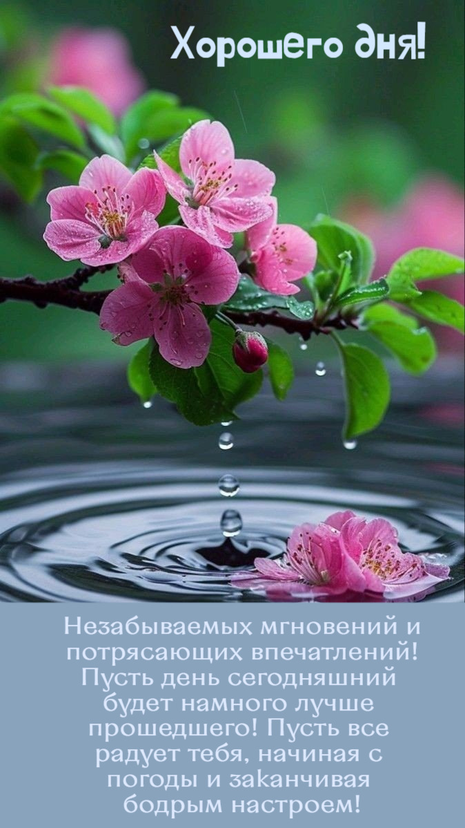 Незабываемых мгновений и потрясающих впечатлений!