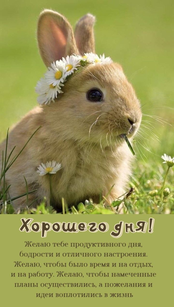 Желаю тебе продуктивного дня