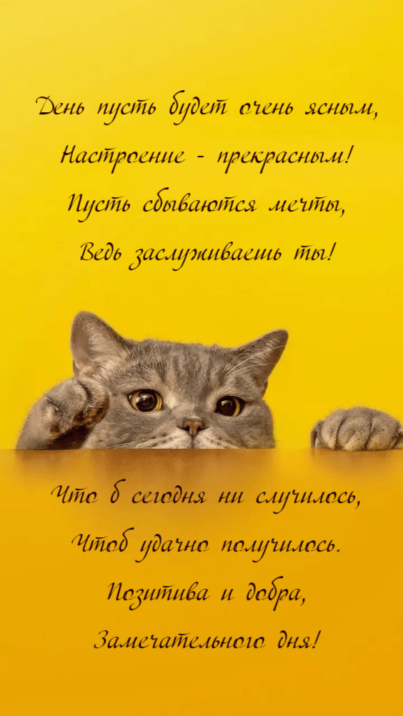 День пусть будет очень ясным