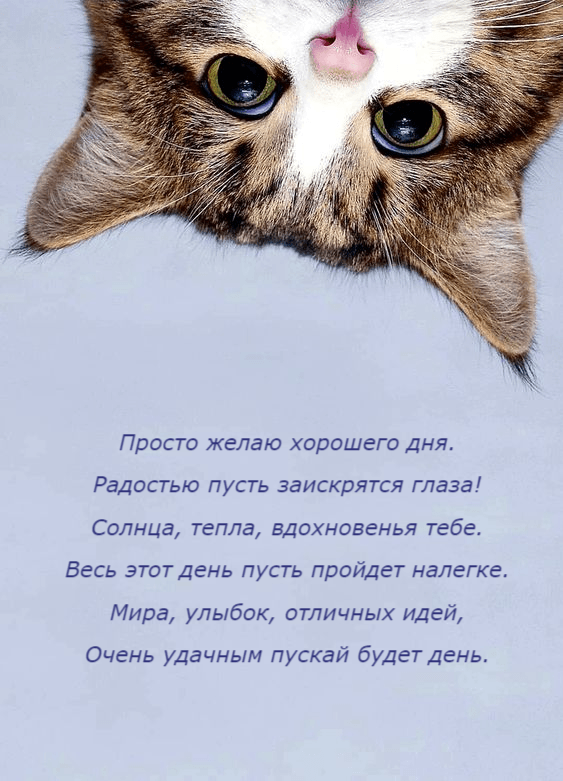 Радостью пусть заискрятся глаза!