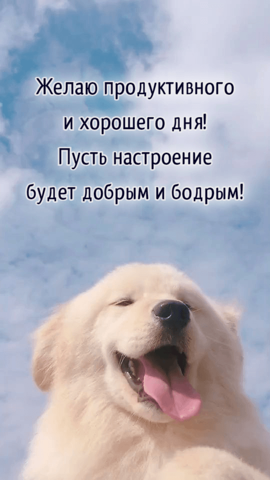 Пусть настроение будет добрым и бодрым!