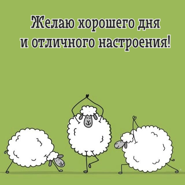 Желаю хорошего дня и отличного настроения!