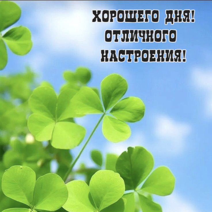 Хорошего дня! Отличного  настроения!