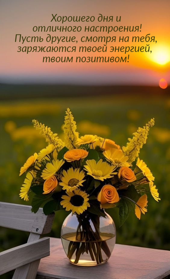 Пусть другие, смотря на тебя,  заряжаются твоей энергией