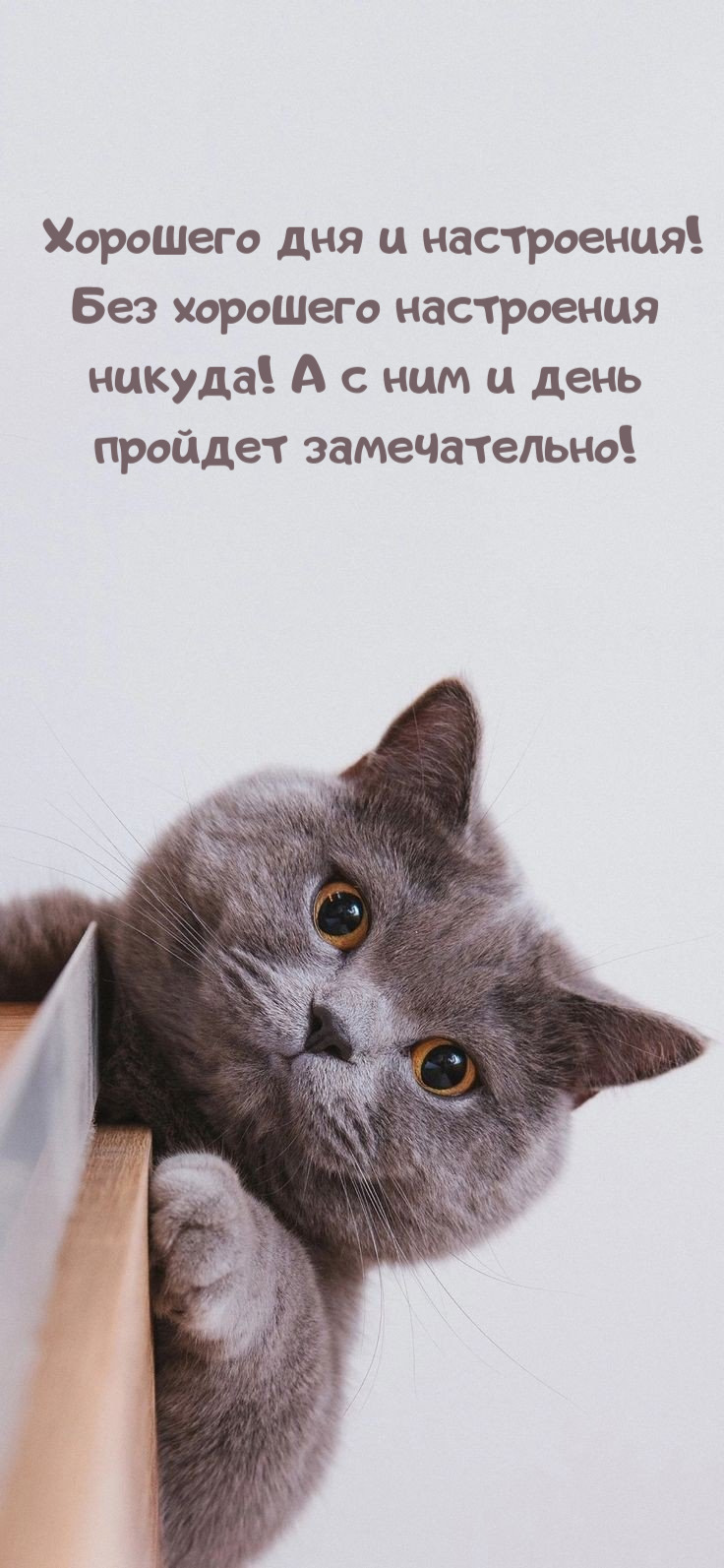 Без хорошего настроения  никуда!