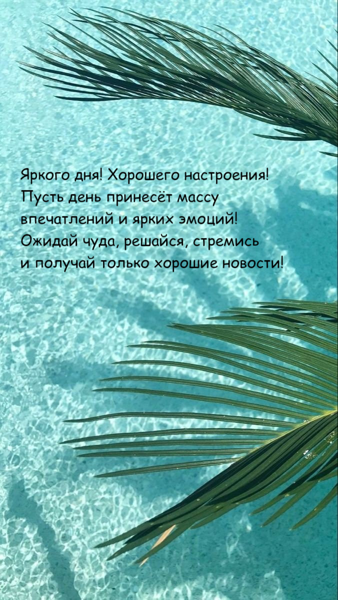 Пусть день принесёт массу  впечатлений