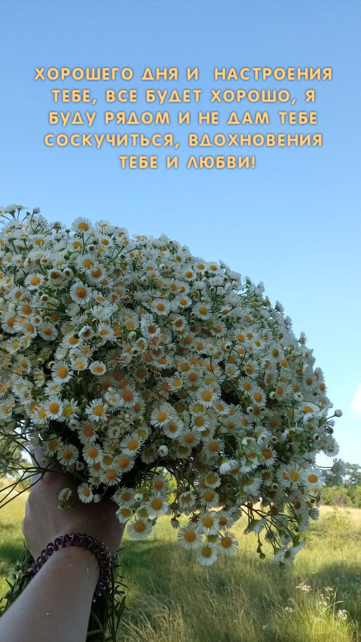 вдохновения  тебе и любви!