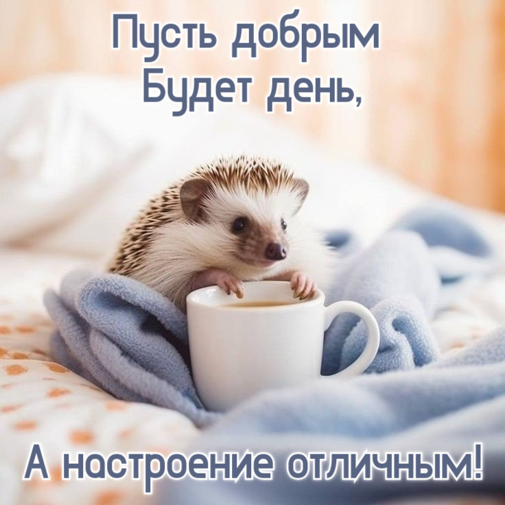 Пусть добрым  Будет день, А настроение отличным!