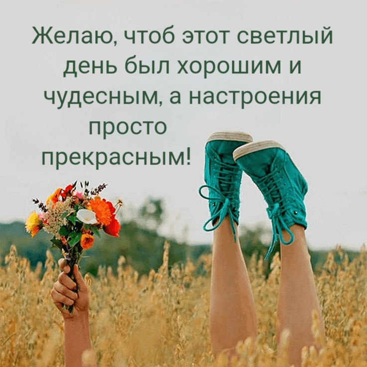 Желаю, чтоб этот светлый день был хорошим и чудесным, а настроения просто прекрасным!