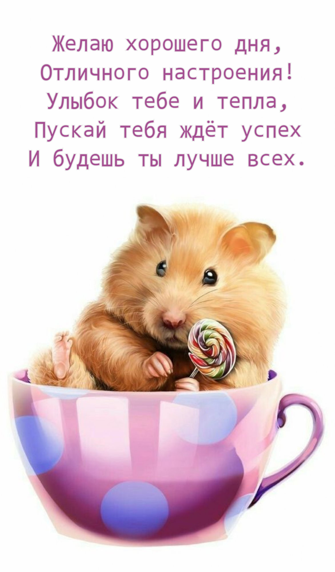 Улыбок тебе и тепла