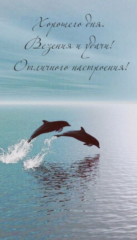 Везения и удачи!