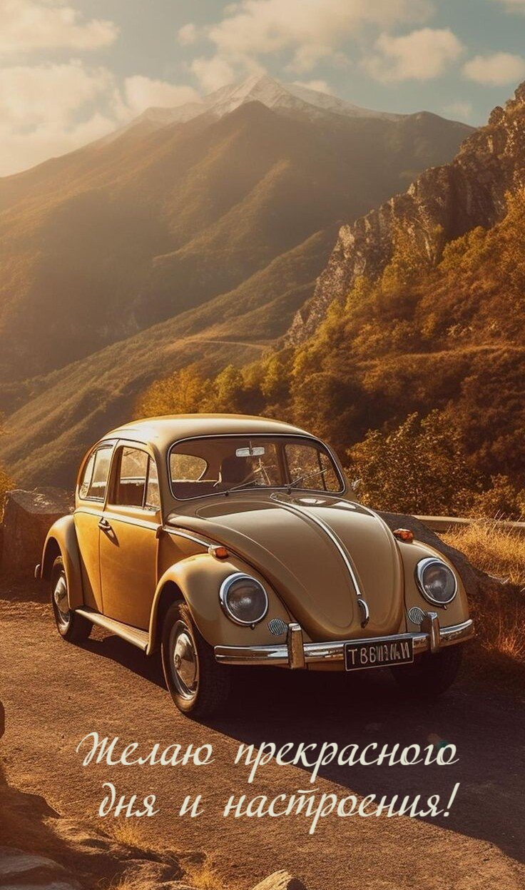 Желаю прекрасного  дня и настроения!