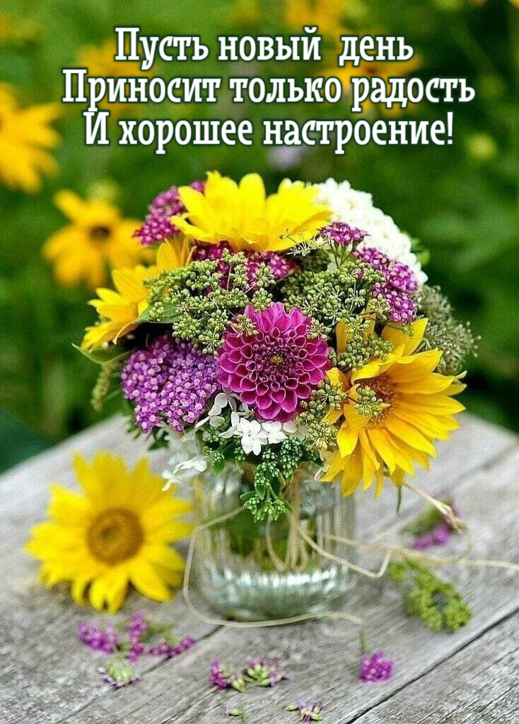 Пусть новый день  Приносит только радость И хорошее настроение!