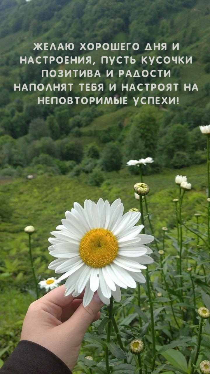 пусть кусочки  позитива и радости  наполнят тебя