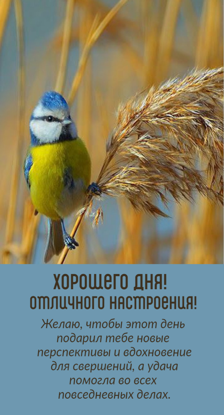 Желаю, чтобы этот день подарил тебе новые перспективы
